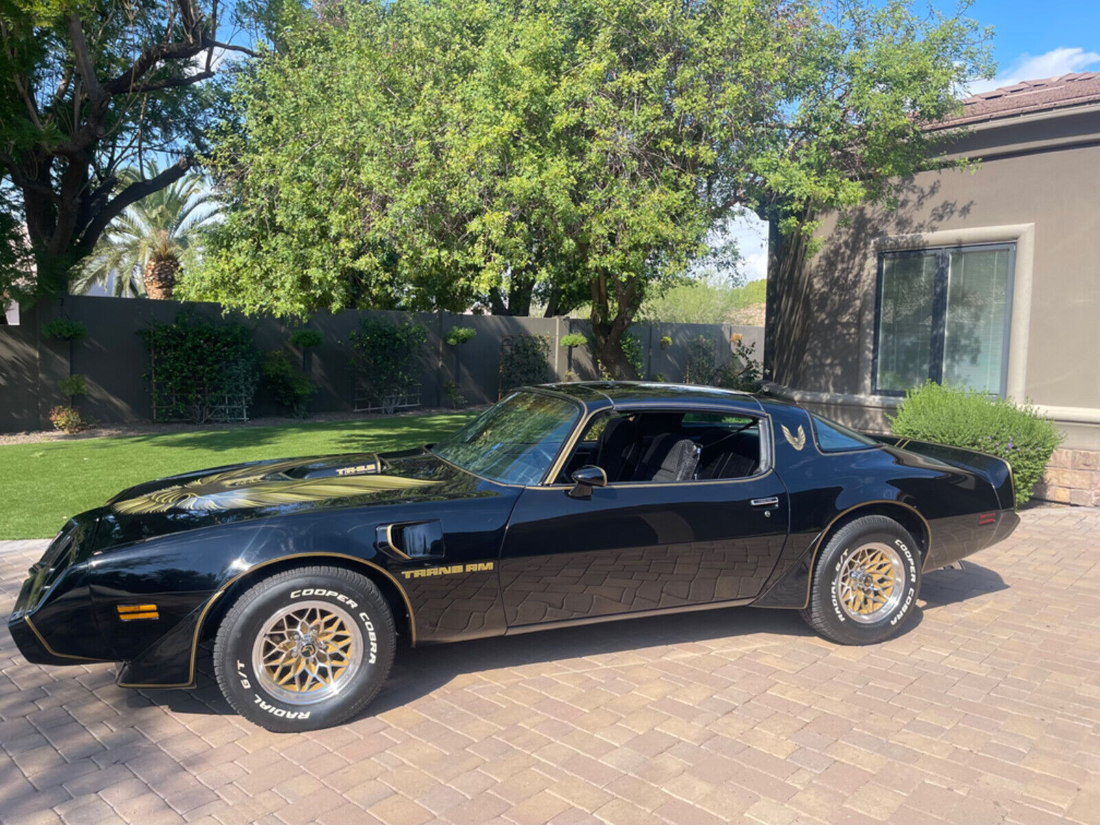 Pontiac-Trans-Am-Coupe-1979-5