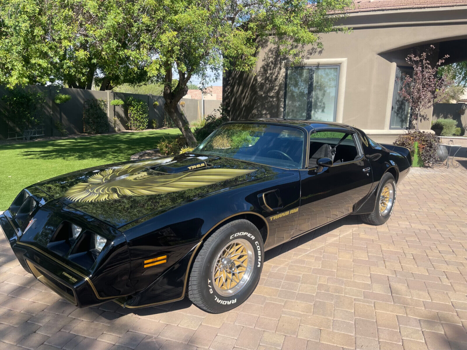 Pontiac-Trans-Am-Coupe-1979-6