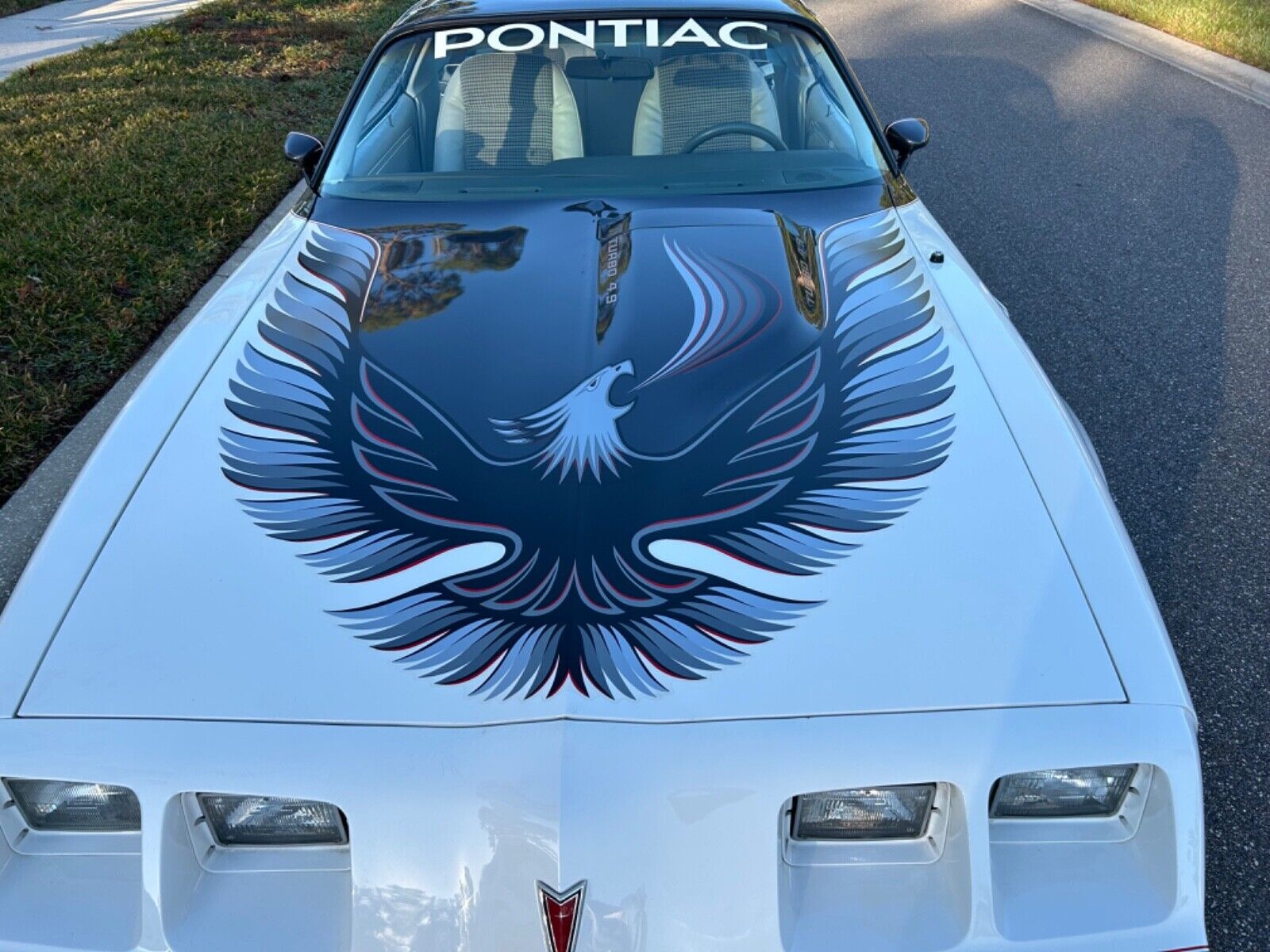 Pontiac-Trans-Am-Coupe-1980-12