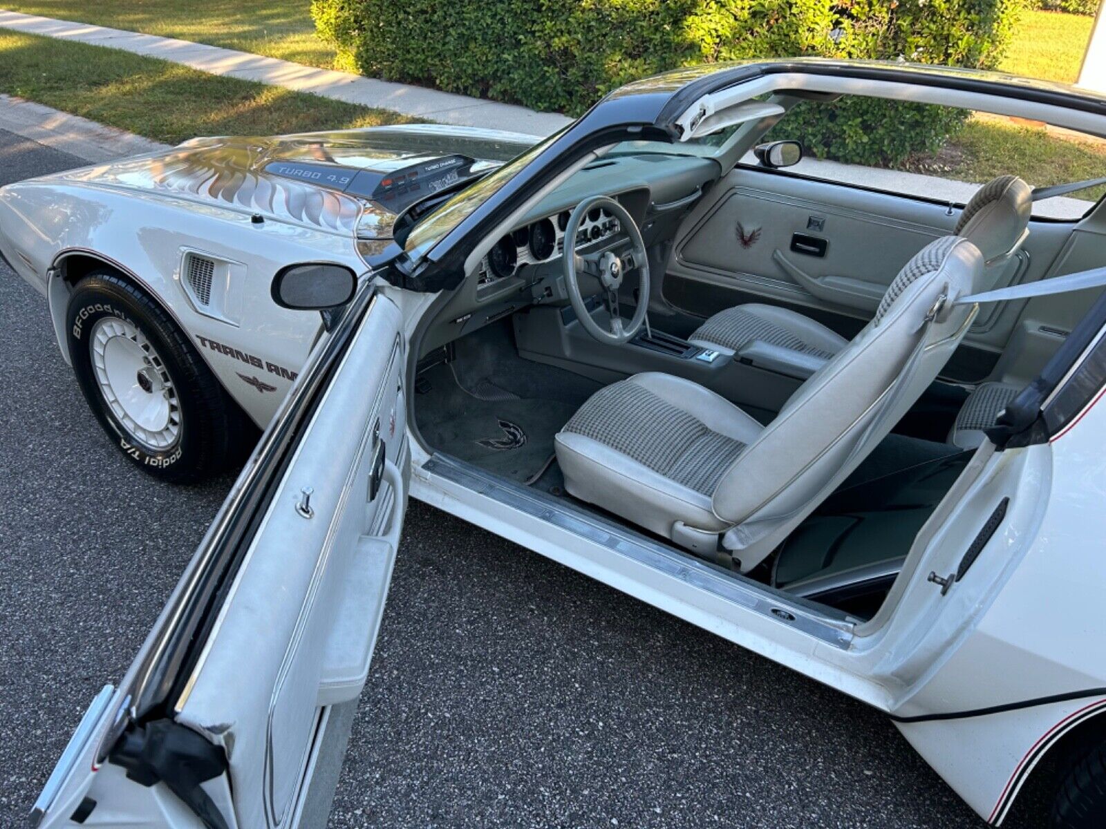 Pontiac-Trans-Am-Coupe-1980-22