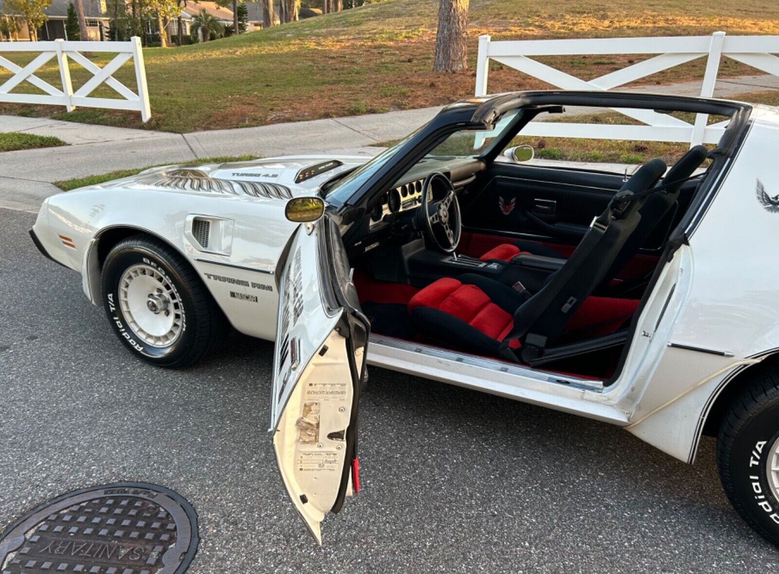 Pontiac-Trans-Am-Coupe-1981-3