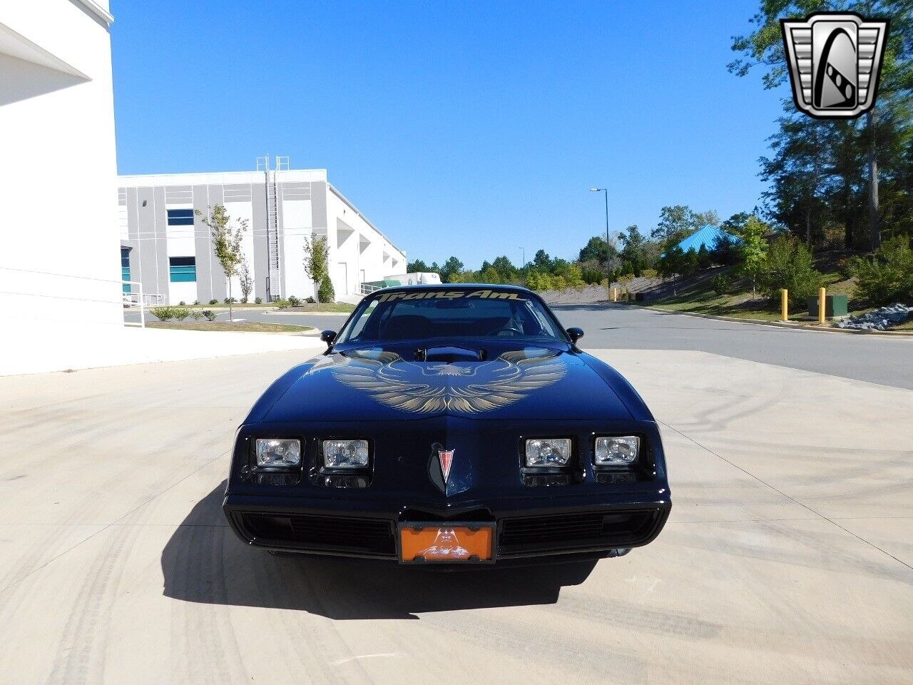 Pontiac-Trans-Am-Coupe-1981-3