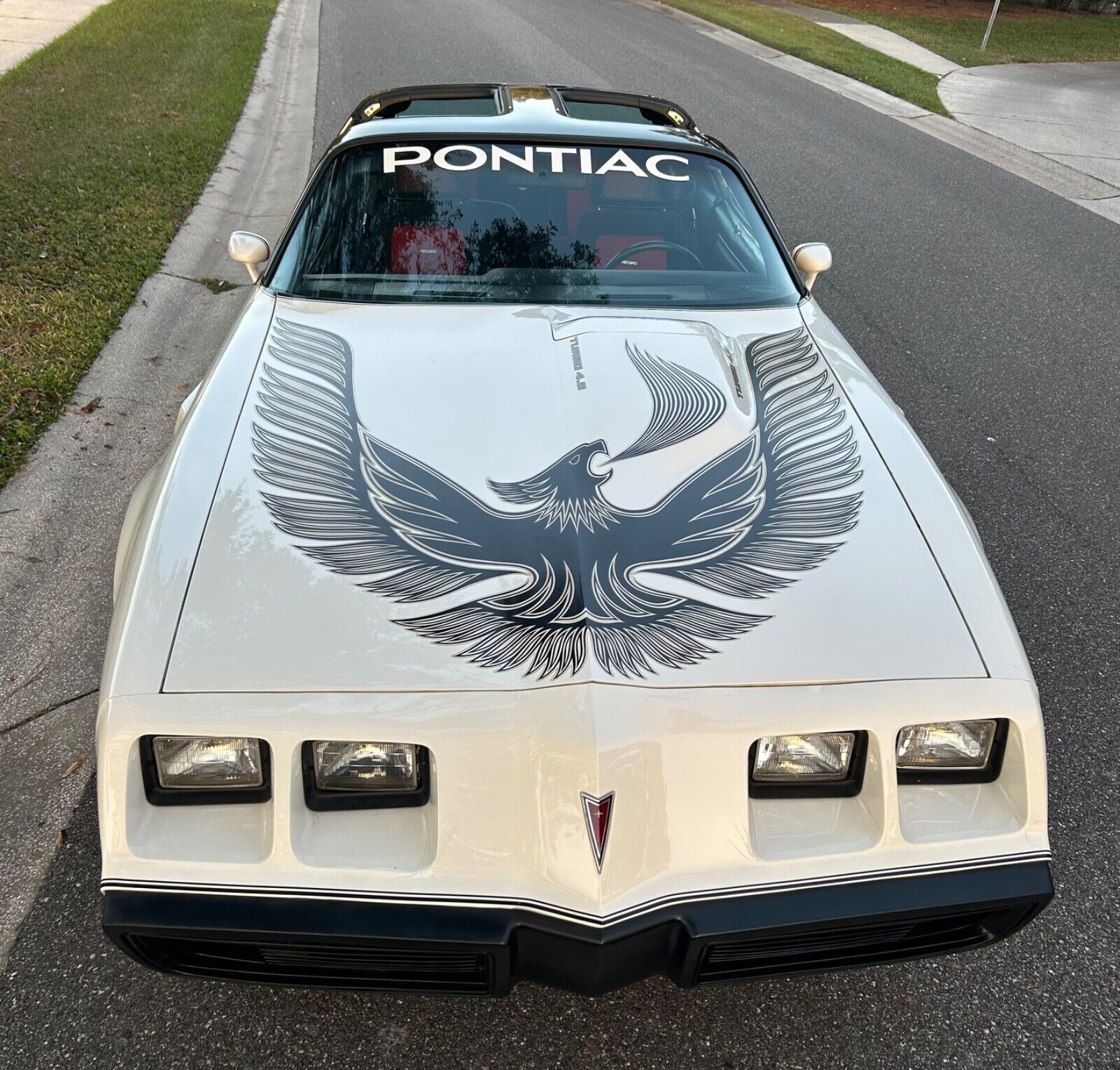 Pontiac-Trans-Am-Coupe-1981-8