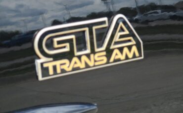 Pontiac-Trans-Am-GTA-1990-23