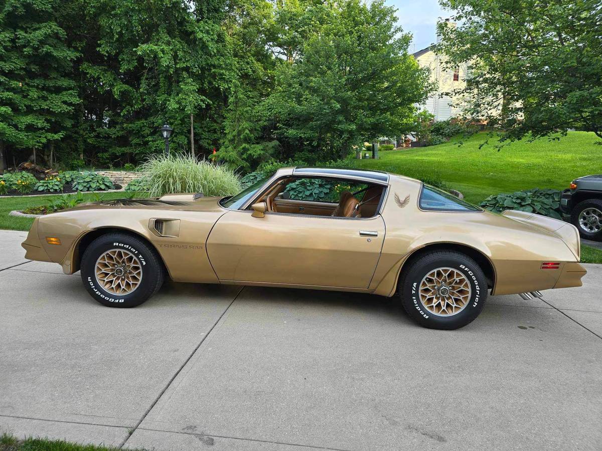 Pontiac-Trans-am-1978-3