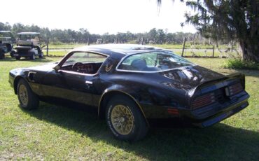 Pontiac-Trans-am-1978-4