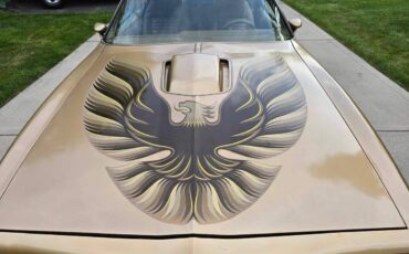 Pontiac-Trans-am-1978-7