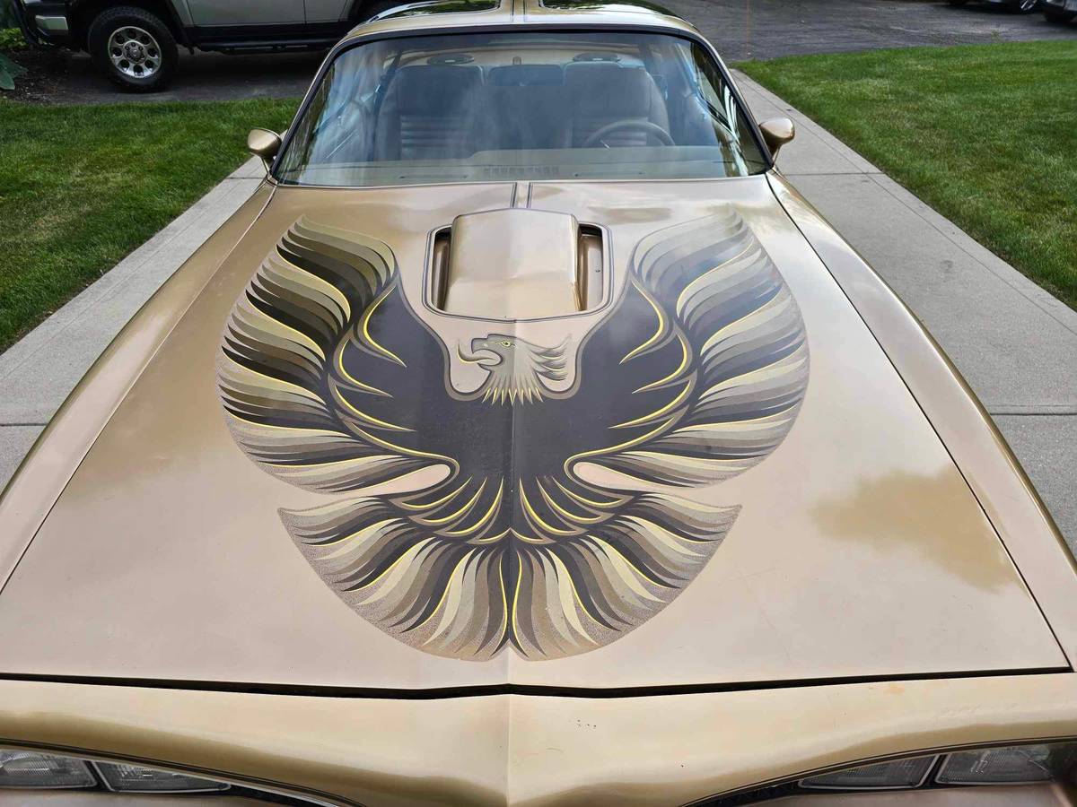 Pontiac-Trans-am-1978-7