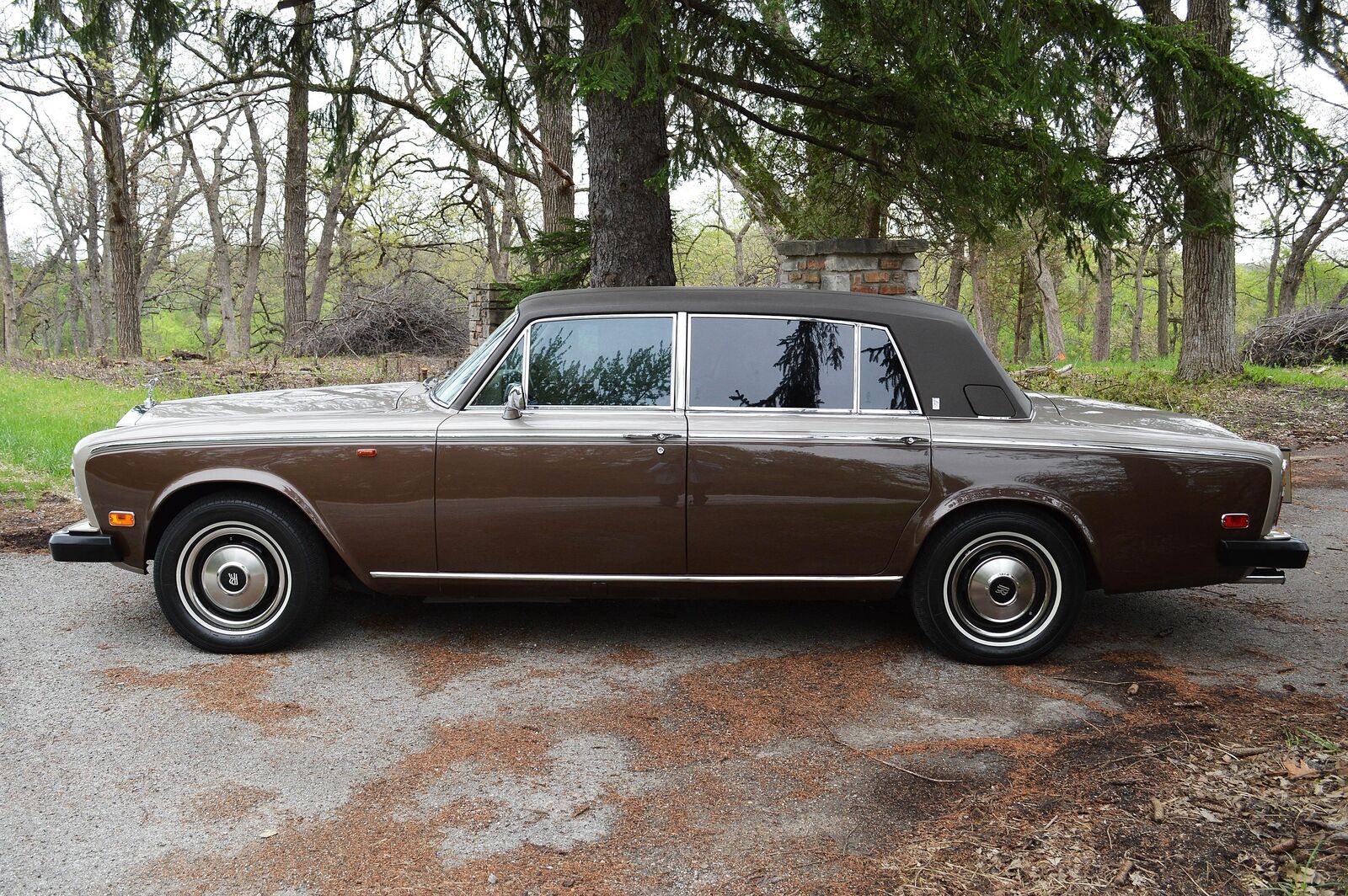 Rolls-Royce-Silver-Wraith-II-1979-10