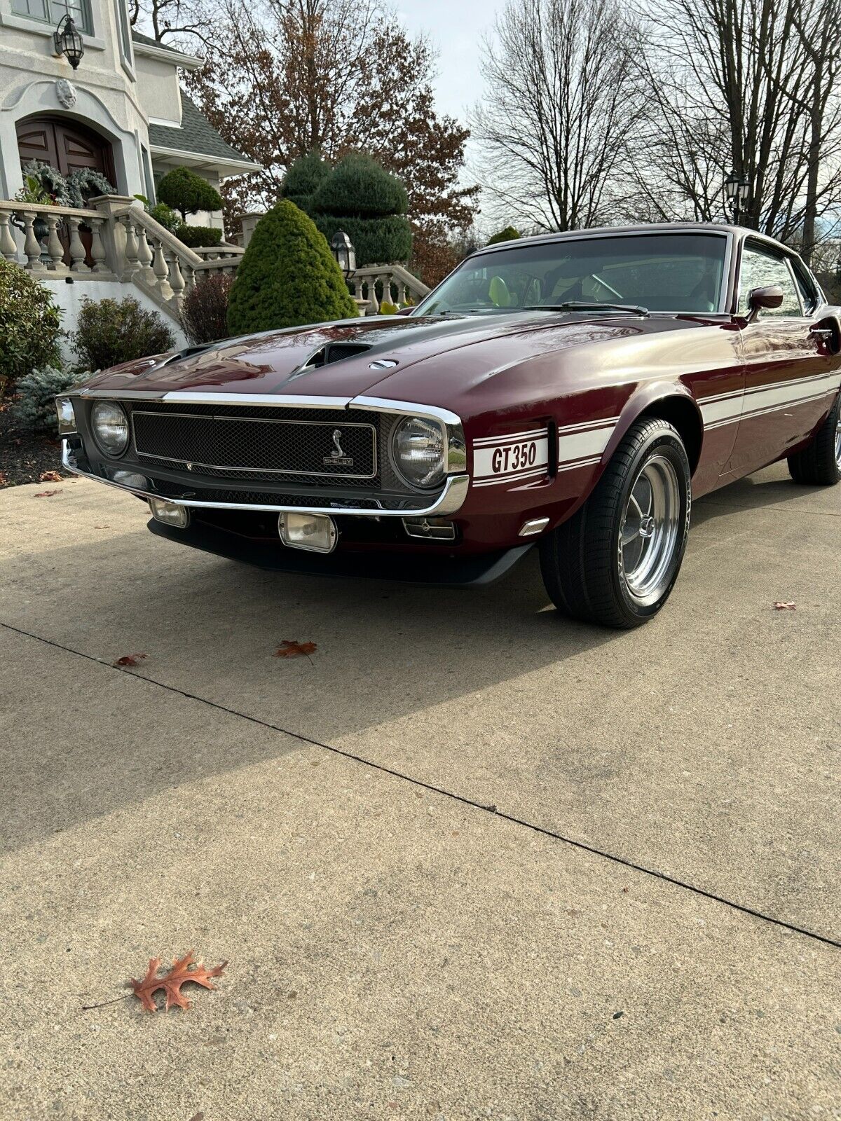 Shelby-350GT-1970-1