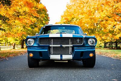 Shelby-GT350-Cabriolet-1966-14