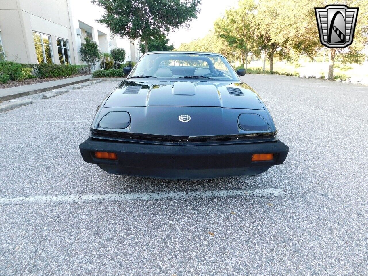 Triumph-TR7-Cabriolet-1981-2