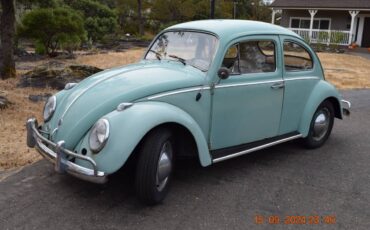 Volkswagen-Beetle-1961-4