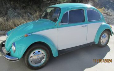 Volkswagen-Beetle-1968-18