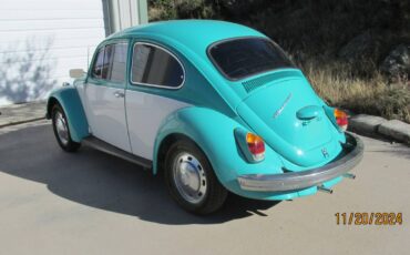 Volkswagen-Beetle-1968-19