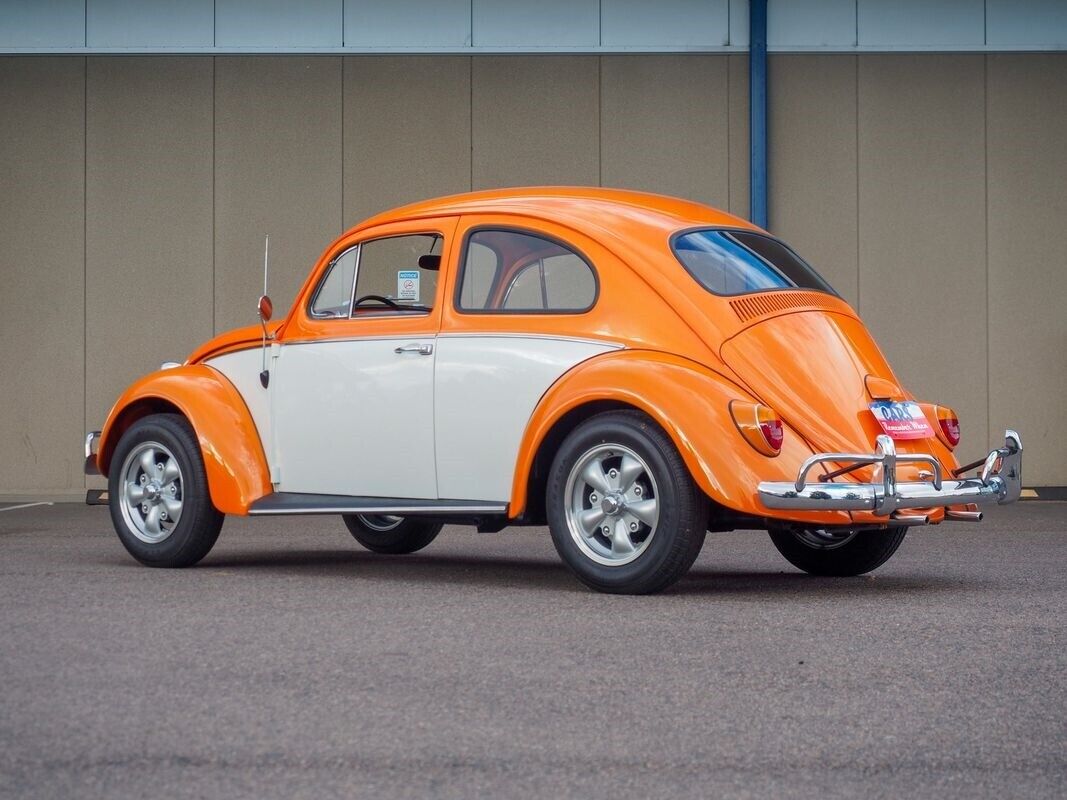 Volkswagen-Beetle-Classic-1963-1