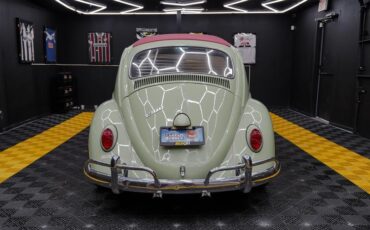 Volkswagen-Beetle-Classic-1967-5