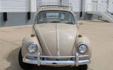 Volkswagen-Beetle-Classic-1967-6