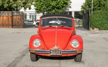 Volkswagen-Beetle-Classic-1969-11