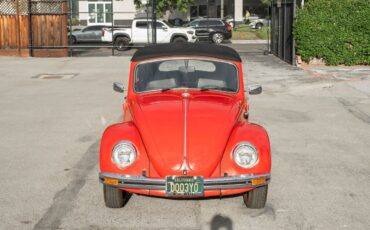 Volkswagen-Beetle-Classic-1969-13