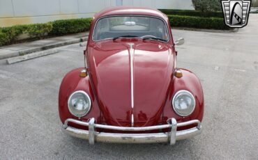 Volkswagen-Beetle-Classic-1969-3