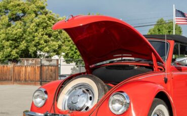 Volkswagen-Beetle-Classic-1969-7