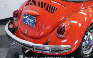 Volkswagen-Beetle-Classic-1970-25