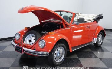 Volkswagen-Beetle-Classic-1970-30