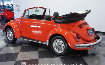 Volkswagen-Beetle-Classic-1970-6