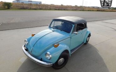 Volkswagen-Beetle-Classic-1971-10