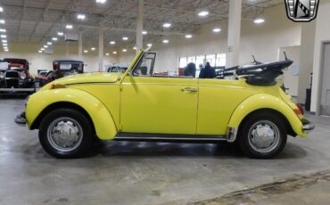 Volkswagen-Beetle-Classic-1971-2