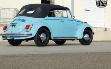 Volkswagen-Beetle-Classic-1971-7