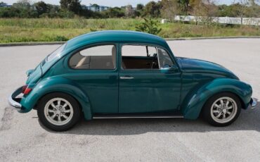 Volkswagen-Beetle-Classic-1971-8