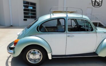 Volkswagen-Beetle-Classic-1973-11