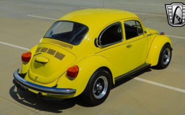 Volkswagen-Beetle-Classic-1973-7