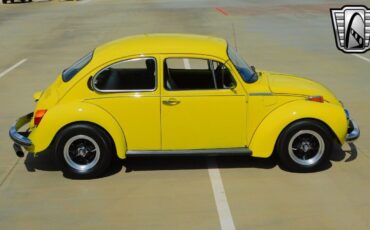 Volkswagen-Beetle-Classic-1973-8