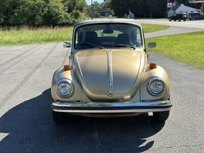 Volkswagen-Beetle-Classic-1974-1