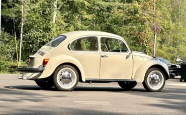 Volkswagen-Beetle-Classic-1974-10