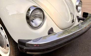 Volkswagen-Beetle-Classic-1974-12