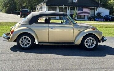 Volkswagen-Beetle-Classic-1974-3