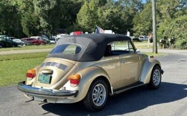 Volkswagen-Beetle-Classic-1974-4