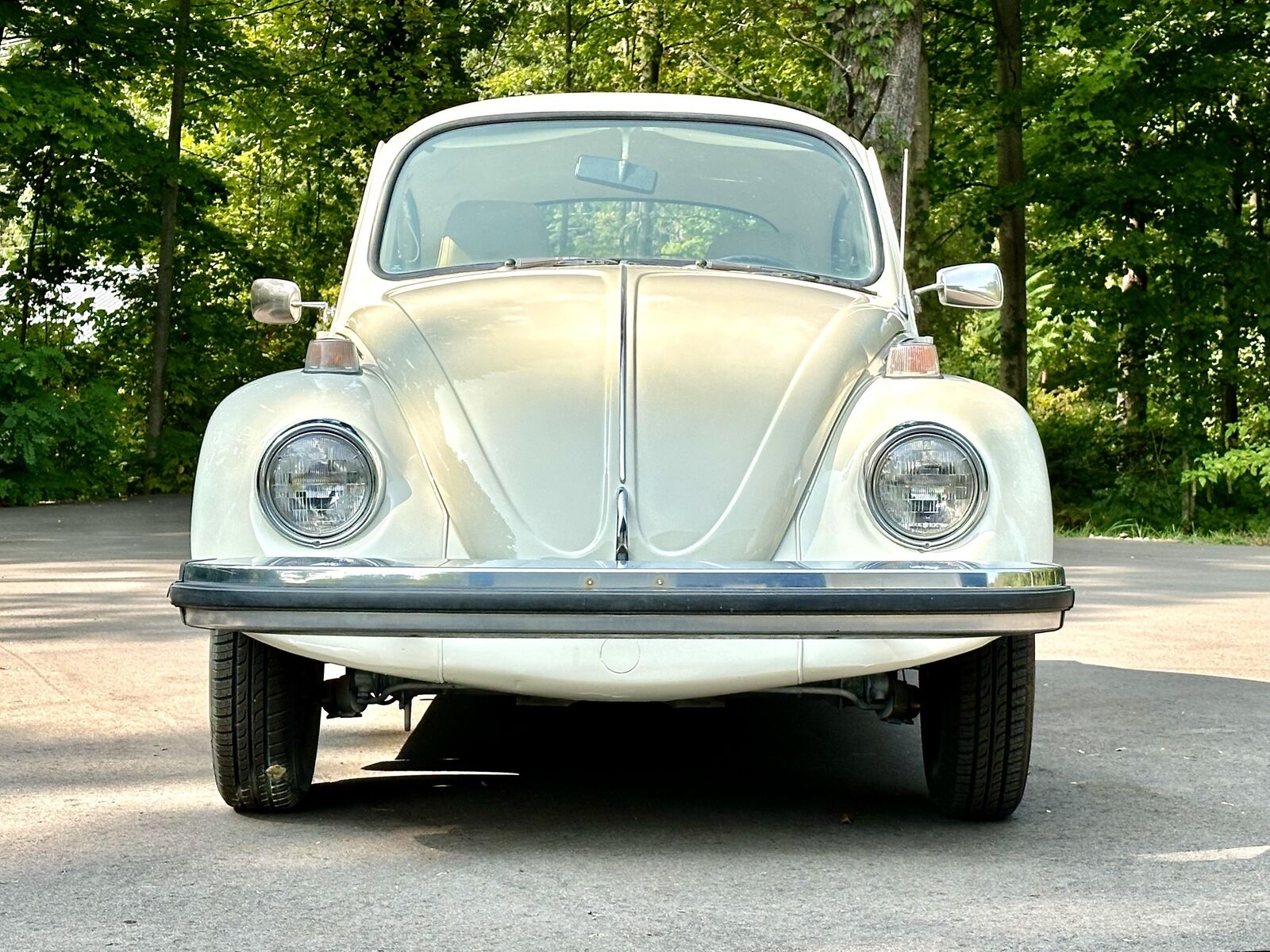 Volkswagen-Beetle-Classic-1974-6