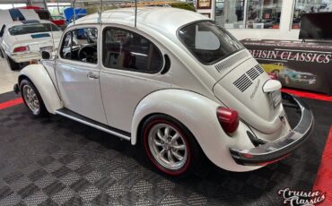 Volkswagen-Beetle-Classic-1974-6