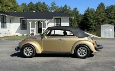 Volkswagen-Beetle-Classic-1974-7