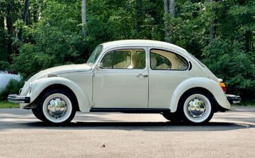 Volkswagen-Beetle-Classic-1974-7