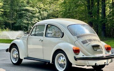 Volkswagen-Beetle-Classic-1974-8