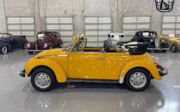 Volkswagen-Beetle-Classic-1978-3