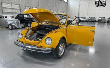 Volkswagen-Beetle-Classic-1978-8