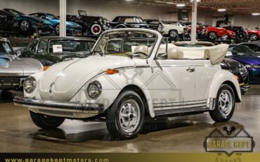 Volkswagen-Beetle-Classic-Cabriolet-1978-8