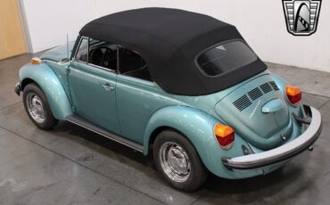 Volkswagen-Beetle-Classic-Cabriolet-1979-10